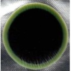 Латка MU-OO MARUNI универсальная 100шт 43мм